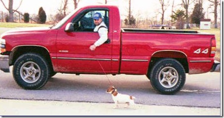 man walking dog in truck